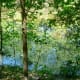 Ponds in the Little Cypress Creek Preserve