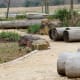 Logs for seating near the outdoor classroom