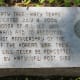 Liberty Tree Dedicatio