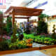 Primavera Photo