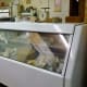 Cold storage for food inside the Juergen's General Merchandise Store