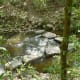 Rummel Creek