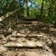 Edith L. Moore Sanctuary pathway