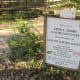 edith-l-moore-nature-sanctuary-photos-information