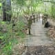 Path through the sanctuary