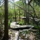 Wooden walkways over water at Moore Sanctuary