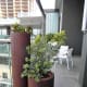 Rusty plant pots or design feature?