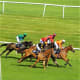 Racing from Doncaster.