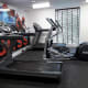 Treadmills and cross trainer.