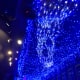 going-to-tokyo-heres-what-you-should-know