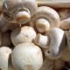 white button mushrooms