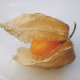 the ripe fruit