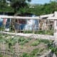 Moving from tribal to urban areas