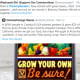 food-shortages-time-for-trump-to-announce-new-victory-gardens-and-urban-food-forests-push