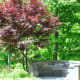 monon-trail