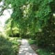 monon-trail