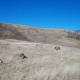 Hay bales dot the back of the mountain...along with a few furry friends.