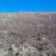 Looking up, but it hardly looks steep.