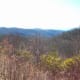 Though the trees are dormant, there is still a little green decorating the landscape.