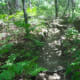 Very little of the path is smooth like this.