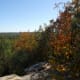Mount Misery Autumn 2012