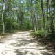 This is the road you will drive or walk to Mount Misery. It's about a mile and a half.