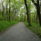 Carriage Trails at Moses Cone Park in Blowing Rock, NC