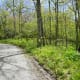 Carriage Trails at Moses Cone Park in Blowing Rock, NC