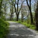 Carriage Trails at Moses Cone Park in Blowing Rock, NC