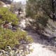 Skirting rocks along the bottom creekbed trail. Heading toward the head of the stream, about to ascend again.