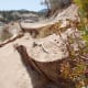 Trail becoming steeper and switchbacking, bank supports leaning over time.