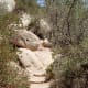 These steps are one of the steepest parts of the trail.