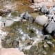 Creek water is cool and refreshing - safe to drink and refill your water bottle.