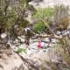 Kids playing in the dry streambed.