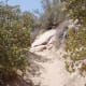 The trail in one of its easy stages.