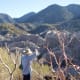 My friend's husband looking over the right side of the canyon from the upper trail, 300 ft. above the streambed. The rock climbers' cliff is on his left out of view.