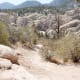 Looking backward on the middle trail, as it's about to curve around and up to the upper trail.