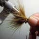Position the third Marabou