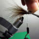 Trim the Marabou