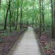 congaree-national-park