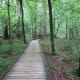 congaree-national-park