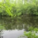 View of Weston Lake