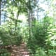 The Trail (flat and easy part)