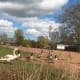 This embankment is what remains of the old railway sidings.