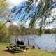 One of the many picnic benches affording lovely views over the lake.