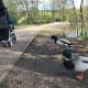 Ducks leave the water's edge to greet us. I think food is the reason for their motivation.