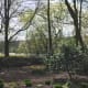 The trees help to provide cover from the elements.