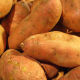white flesh sweet potato