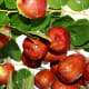 Jujube Fruit