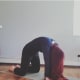 Cat pose, an amazing stretch for the back.